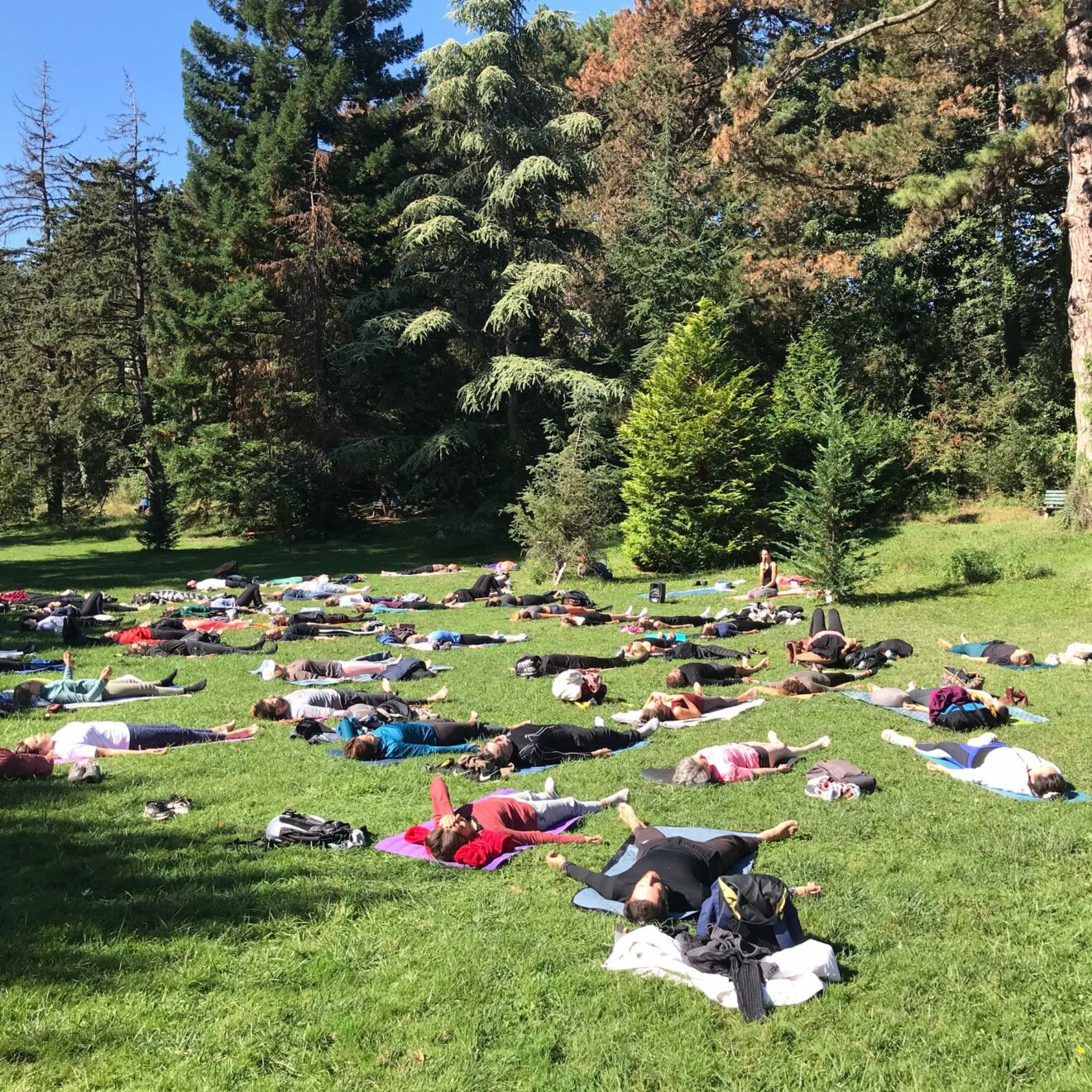 Yoga gratuit au parc de la Tête d'or & célébration des 10 ans d'Orezen