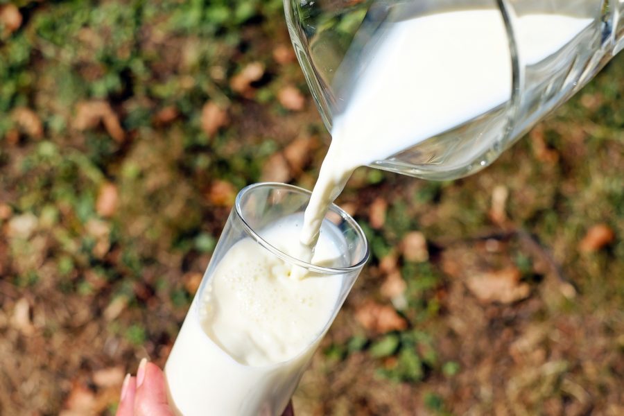 Les propriétés ayurvédiques du lait