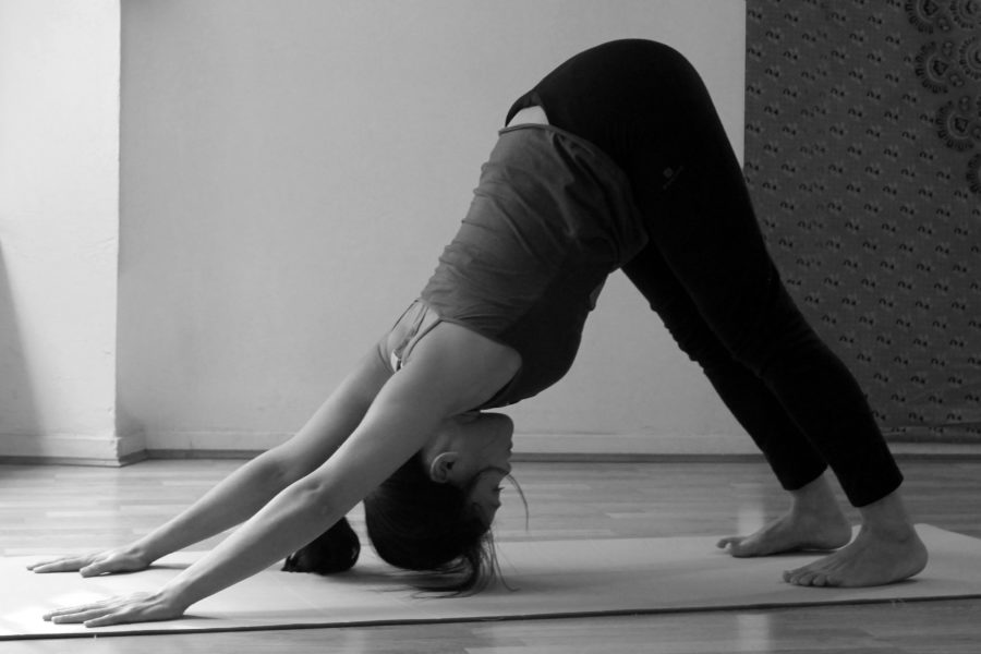 10 Postures basiques du hatha yoga en sanskrit et leurs bienfaits