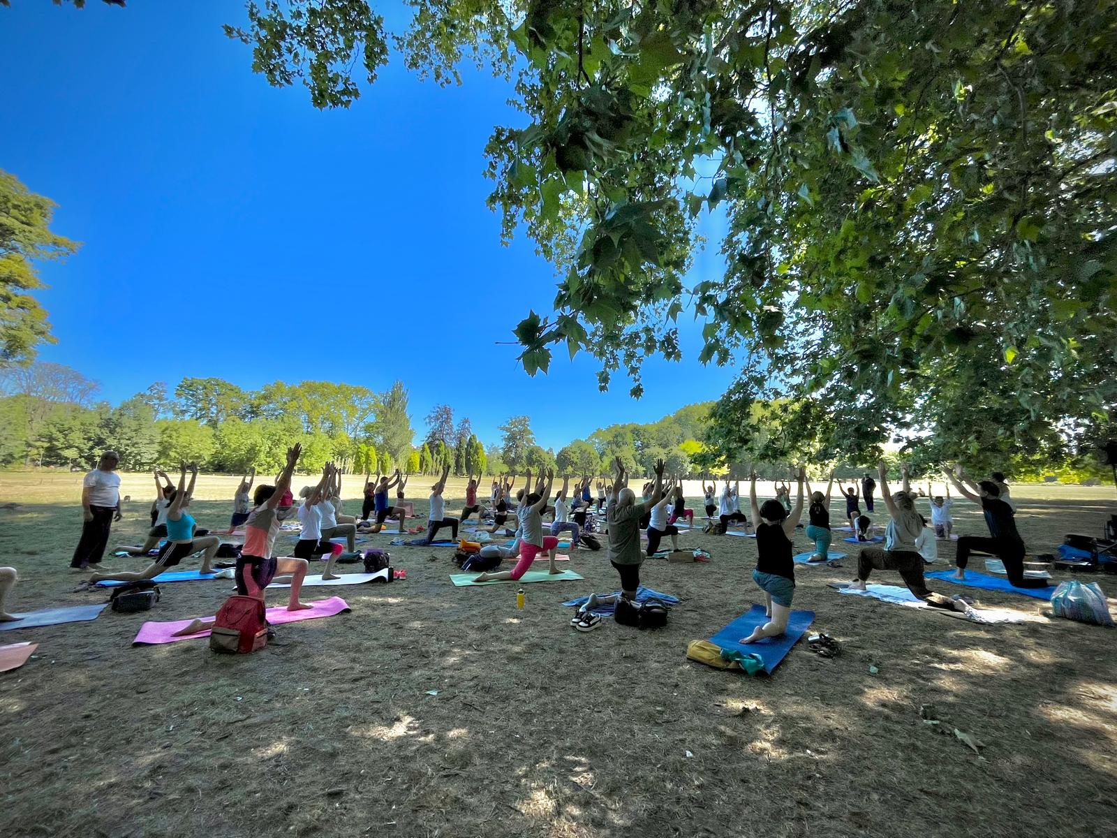 Une pratique pour l'équilibre de l'esprit-corps. Découvrez le planning et réservez votre tapis de yoga !